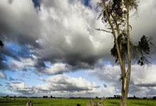 包含休斯敦火箭迎NBA常规赛关键赛，赛前迎来里程碑，赛场秩序良好，身体对抗强度拉满的词条爱游戏全站